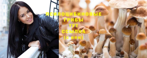mdma Киреевск