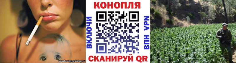 Марихуана тримм Купить закладки Западная Двина